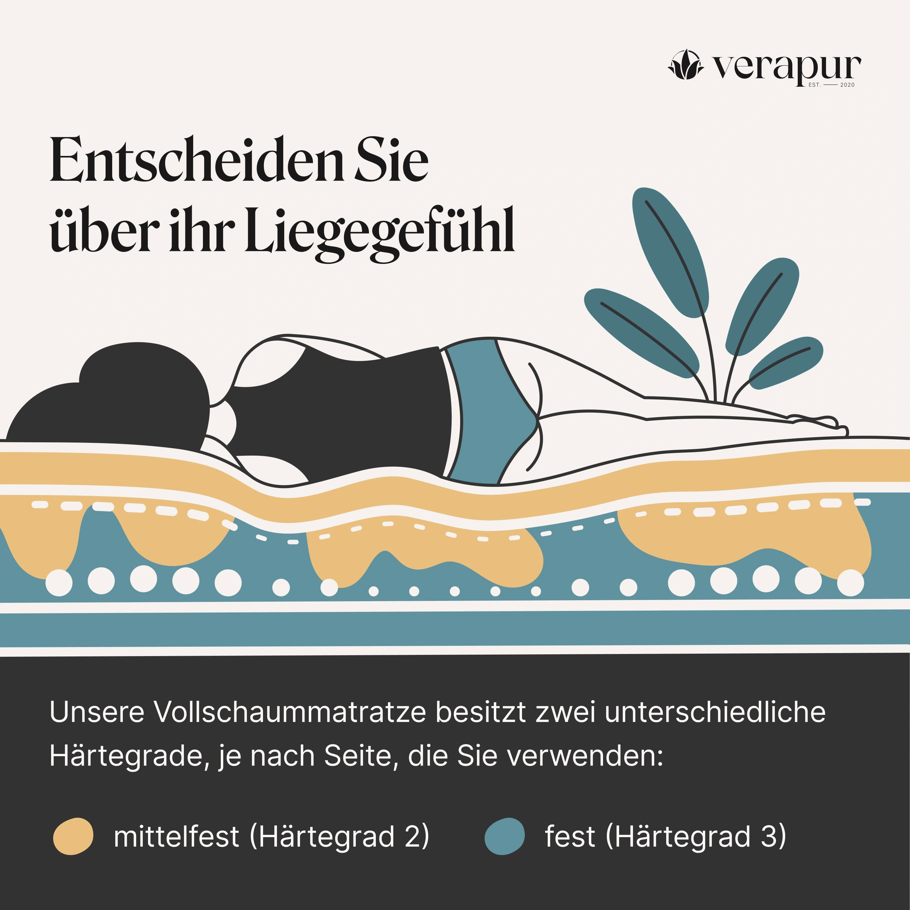 Switch Kaltschaum Wende-Matratze | H2 & H3 | Höhe: 23 cm Switch Kaltschaum Wende-Matratze | H2 & H3 | Höhe: 23 cm